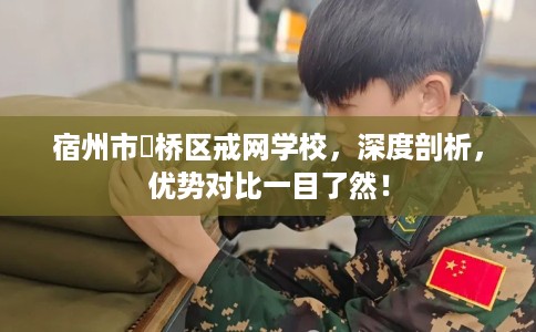 宿州市埇桥区戒网学校，深度剖析，优势对比一目了然！