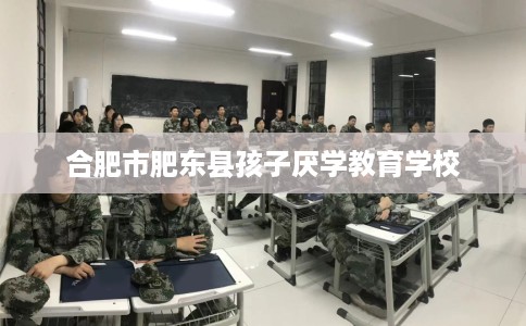 合肥市肥东县孩子厌学教育学校