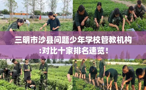 三明市沙县问题少年学校管教机构:对比十家排名速览！