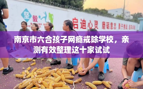 南京市六合孩子网瘾戒除学校，亲测有效整理这十家试试
