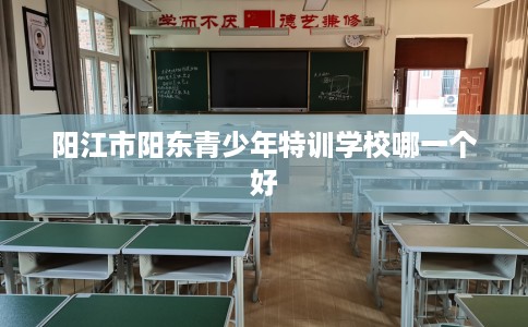 阳江市阳东青少年特训学校哪一个好