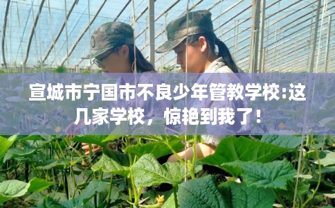 宣城市宁国市不良少年管教学校:这几家学校，惊艳到我了！