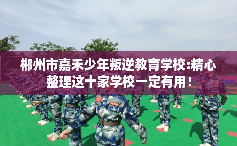 郴州市嘉禾少年叛逆教育学校:精心整理这十家学校一定有用！