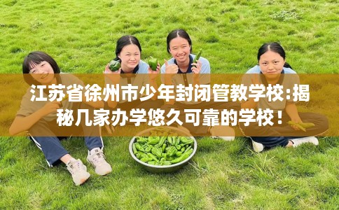 江苏省徐州市少年封闭管教学校:揭秘几家办学悠久可靠的学校！