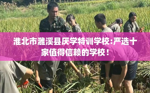 淮北市濉溪县厌学特训学校:严选十家值得信赖的学校！