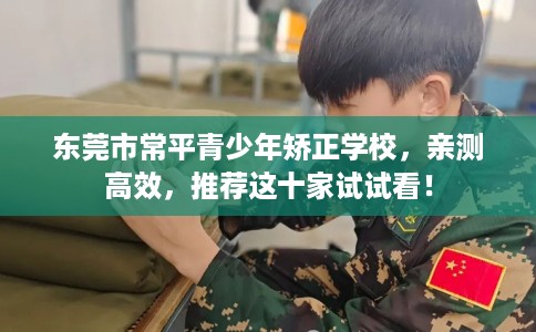 东莞市常平青少年矫正学校，亲测高效，推荐这十家试试看！