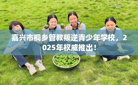 嘉兴市桐乡管教叛逆青少年学校，2025年权威推出！