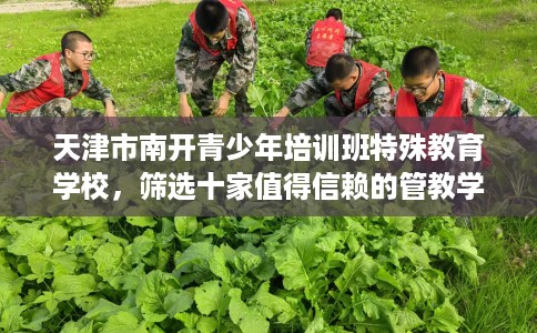 天津市南开青少年培训班特殊教育学校，筛选十家值得信赖的管教学校！