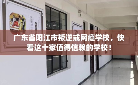 广东省阳江市叛逆戒网瘾学校，快看这十家值得信赖的学校！