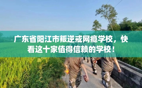 广东省阳江市叛逆戒网瘾学校，快看这十家值得信赖的学校！