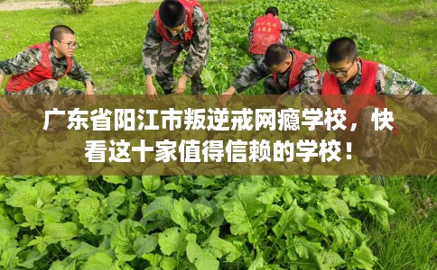 广东省阳江市叛逆戒网瘾学校，快看这十家值得信赖的学校！