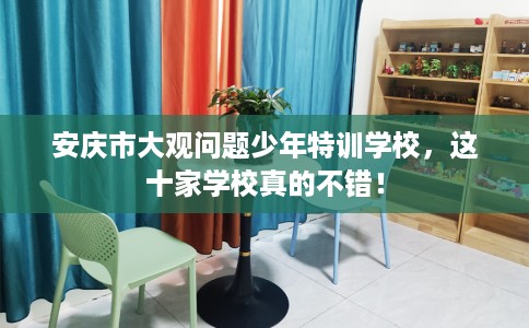 安庆市大观问题少年特训学校，这十家学校真的不错！