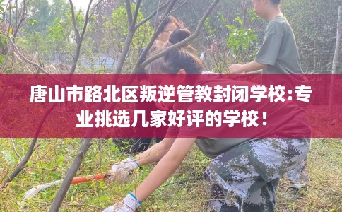 唐山市路北区叛逆管教封闭学校:专业挑选几家好评的学校！