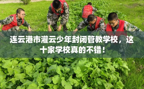 连云港市灌云少年封闭管教学校，这十家学校真的不错！