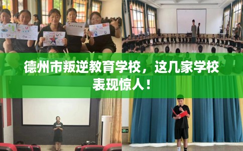 德州市叛逆教育学校，这几家学校表现惊人！