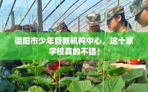 德阳市少年管教机构中心，这十家学校真的不错！