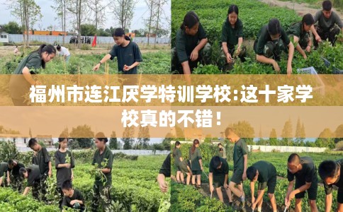 福州市连江厌学特训学校:这十家学校真的不错！