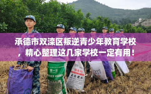 承德市双滦区叛逆青少年教育学校，精心整理这几家学校一定有用！