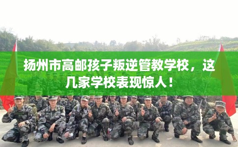 扬州市高邮孩子叛逆管教学校,这几家学校表现惊人! 扬州市高邮孩子叛逆管教学校,这几家学校表现惊人!
