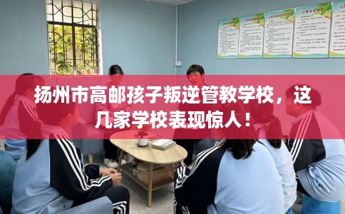 扬州市高邮孩子叛逆管教学校,这几家学校表现惊人! 扬州市高邮孩子叛逆管教学校,这几家学校表现惊人!
