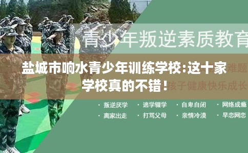 盐城市响水青少年训练学校:这十家学校真的不错！