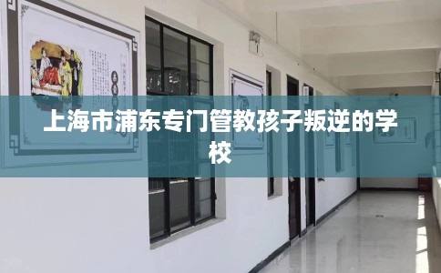 上海市浦东专门管教孩子叛逆的学校
