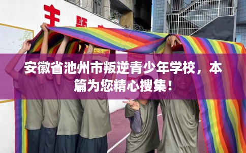 安徽省池州市叛逆青少年学校，本篇为您精心搜集！