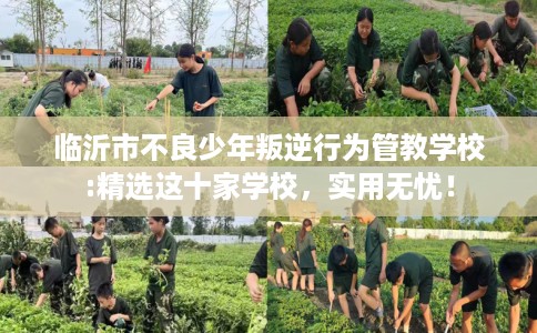 临沂市不良少年叛逆行为管教学校:精选这十家学校，实用无忧！