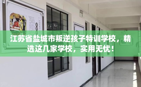江苏省盐城市叛逆孩子特训学校，精选这几家学校，实用无忧！
