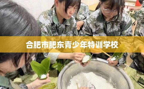 合肥市肥东青少年特训学校 合肥市肥东青少年特训学校