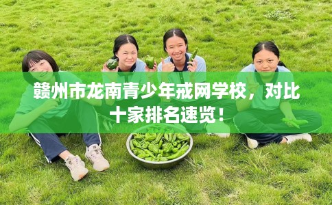 赣州市龙南青少年戒网学校，对比十家排名速览！