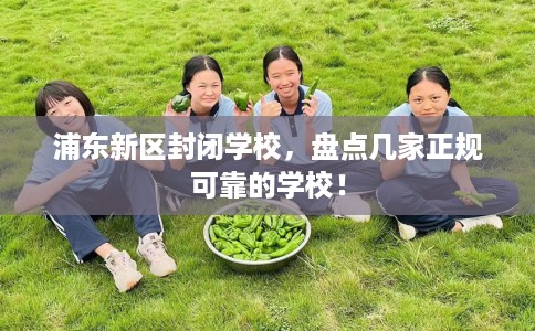 浦东新区封闭学校，盘点几家正规可靠的学校！