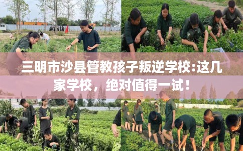 三明市沙县管教孩子叛逆学校:这几家学校，绝对值得一试！
