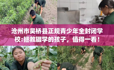 沧州市吴桥县正规青少年全封闭学校:拯救辍学的孩子，值得一看！