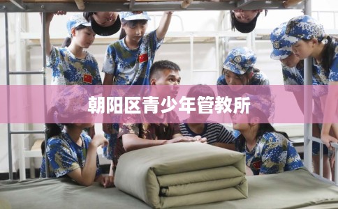 朝阳区青少年管教所 朝阳区青少年管教所