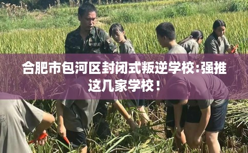 合肥市包河区封闭式叛逆学校:强推这几家学校！