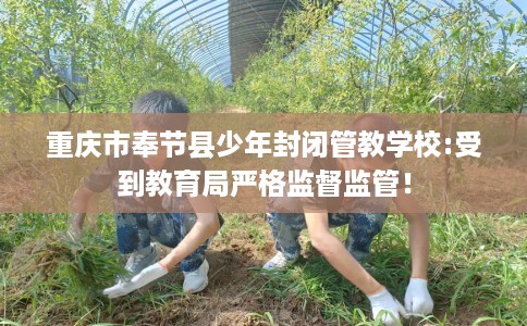 重庆市奉节县少年封闭管教学校:受到教育局严格监督监管! 重庆市奉节县少年封闭管教学校:受到教育局严格监督监管!