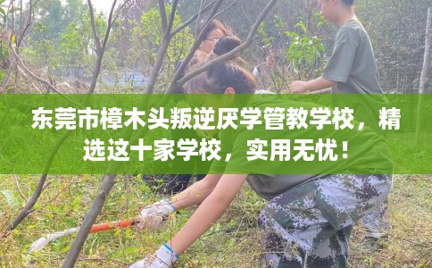 东莞市樟木头叛逆厌学管教学校,精选这十家学校,实用无忧! 东莞市樟木头叛逆厌学管教学校,精选这十家学校,实用无忧!