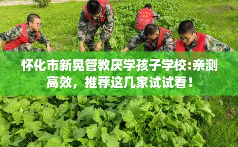 怀化市新晃管教厌学孩子学校:亲测高效，推荐这几家试试看！