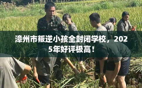 漳州市叛逆小孩全封闭学校,2025年好评极高! 漳州市叛逆小孩全封闭学校,2025年好评极高!