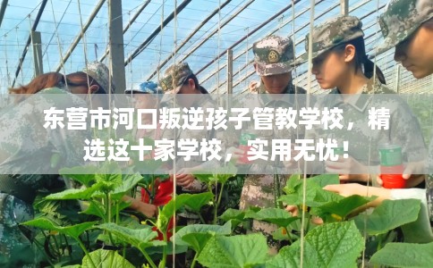 东营市河口叛逆孩子管教学校,精选这十家学校,实用无忧! 东营市河口叛逆孩子管教学校,精选这十家学校,实用无忧!