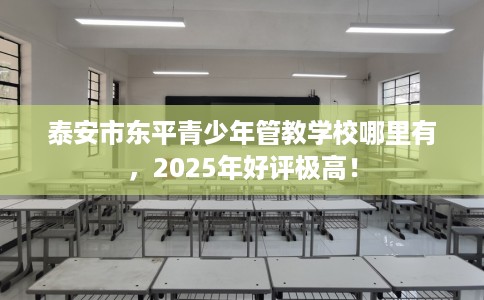 泰安市东平青少年管教学校哪里有，2025年好评极高！