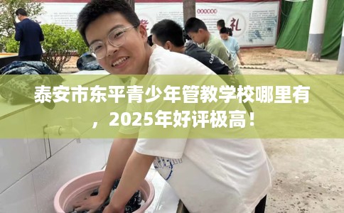 泰安市东平青少年管教学校哪里有，2025年好评极高！