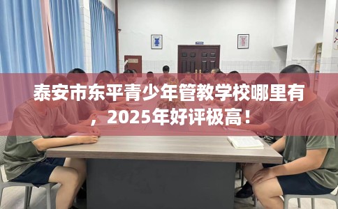 泰安市东平青少年管教学校哪里有，2025年好评极高！