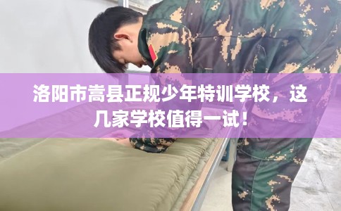 洛阳市嵩县正规少年特训学校，这几家学校值得一试！