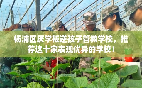 杨浦区厌学叛逆孩子管教学校，推荐这十家表现优异的学校！