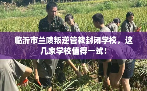 临沂市兰陵叛逆管教封闭学校,这几家学校值得一试! 临沂市兰陵叛逆管教封闭学校,这几家学校值得一试!