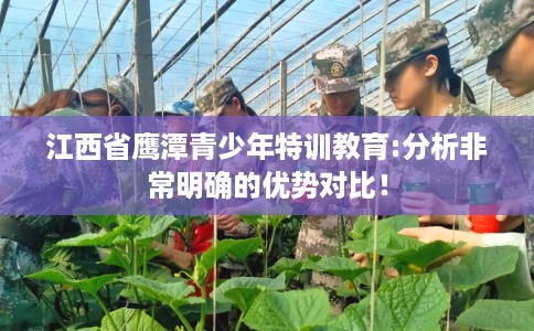 江西省鹰潭青少年特训教育:分析非常明确的优势对比！