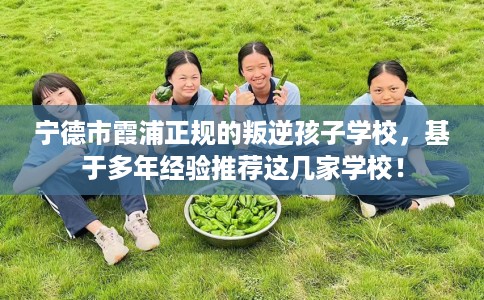 宁德市霞浦正规的叛逆孩子学校，基于多年经验推荐这几家学校！