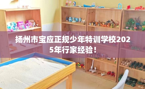 扬州市宝应正规少年特训学校2025年行家经验! 扬州市宝应正规少年特训学校2025年行家经验!